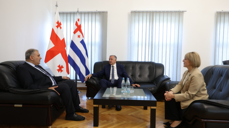 მიხეილ სარჯველაძე აჭარის ავტონომიური რესპუბლიკის მთავრობის თავმჯდომარესა და ჯანდაცვის მინისტრს შეხვდა | Rustavi2