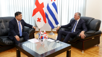 ზურაბ პატარაძე საქართველოში კორეის რესპუბლიკის საგანგებო და სრულუფლებიან ელჩს, კიმ ჰიონ დუს შეხვდა