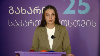 "ნაცმოძრაობის" ქმედებები რაიმე ლოგიკას არ ექვემდებარება - ვიკა ფილფანი