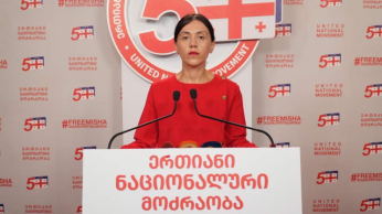"თენგო თევზაძე ვინ არის, უკაცრავად?!" - ანა წითლიძე
