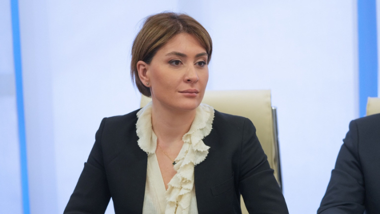 ვმუშაობთ იმისთვის, რომ ვიყოთ საიმედო პარტნიორები მსოფლიო სავაჭრო სისტემისთვის - თამარ იოსელიანი